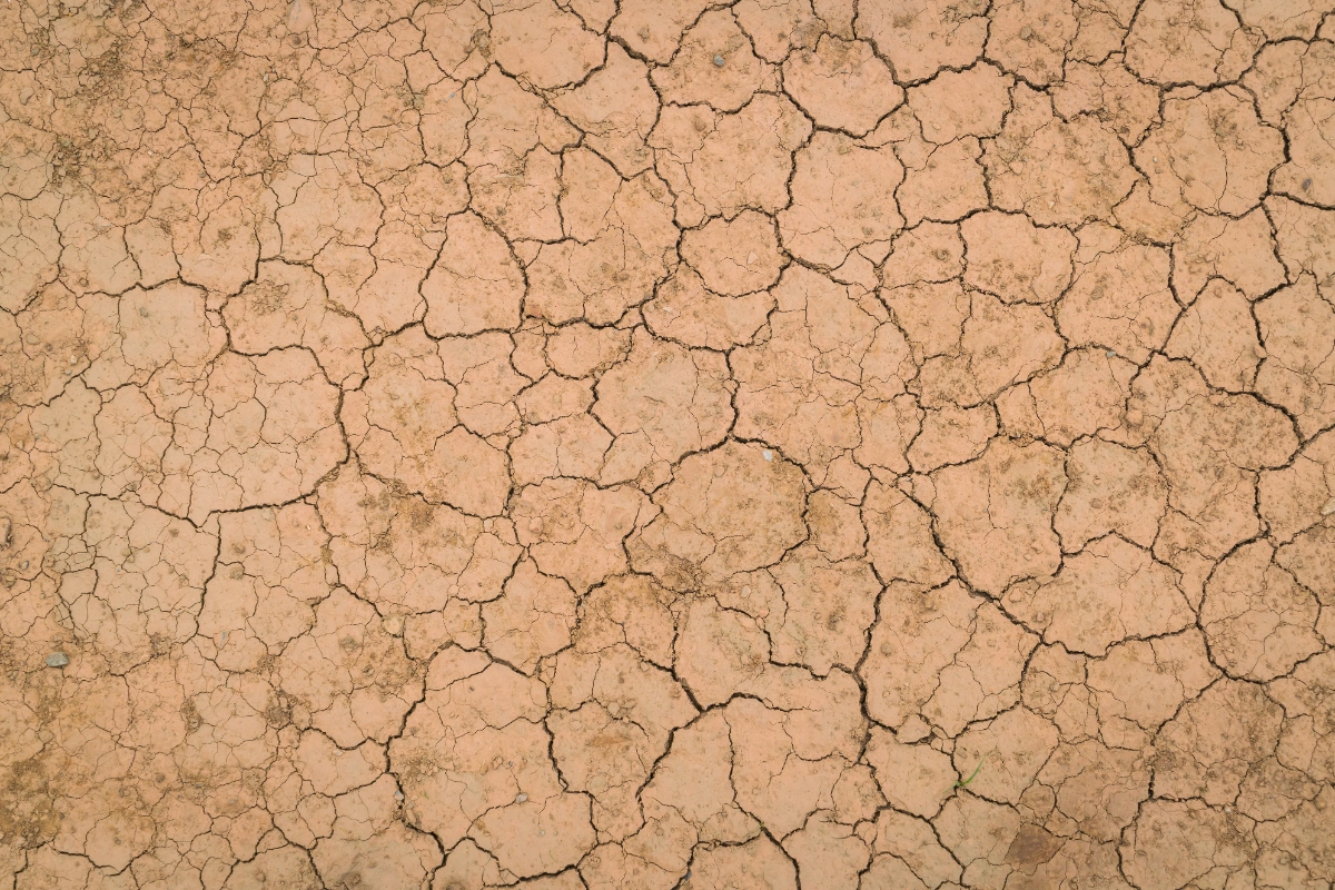 Sri Lanka warns of drought and floods from El Nino Sri Lanka warns of drought and floods from El Nino