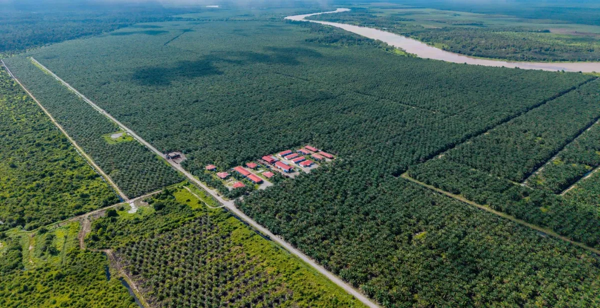 WTK to dispose of three oil palm estates in Miri for RM221.5 million