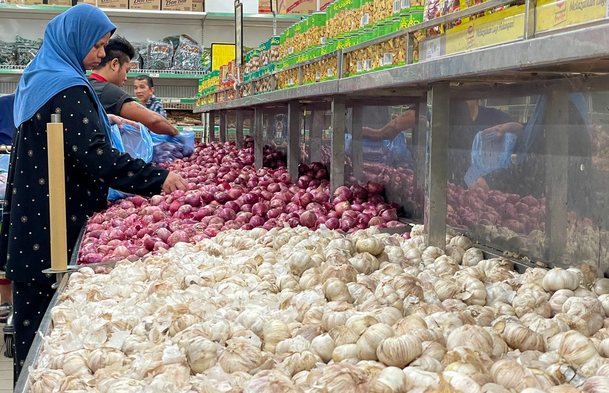 MARDI’s onion seed plan aims to cut RM300 million in imports by 2030