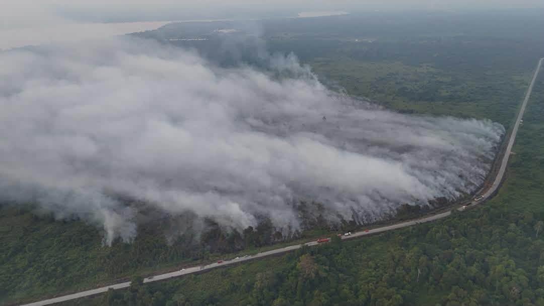 JBPM resumes operations at two forest fires in Sarawak
