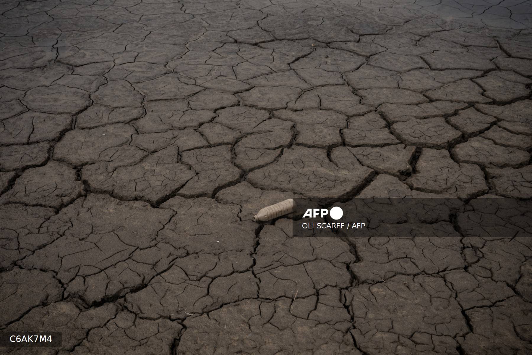 UK declares ‘severe drought’ in six southern counties UK declares ‘severe drought’ in six southern counties